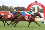 Williams back on Silent Sedition in Coolmore Legacy Queen Of The Turf Stakes Williams back on Silent Sedition in Coolmore Legacy Queen Of The Turf Stakes