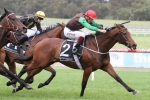 Australian Cup On The Agenda For Eclipse Stakes Winner Turnitaround