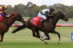 Sydney Cup on Cards for Adelaide Cup Winner Fanatic