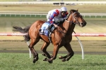 Ability to Resume in Moir Stakes
