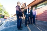 Waterhouse Calls For Change After Melbourne Cup Win Waterhouse Calls For Change After Melbourne Cup Win