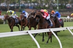 Sirbible A Live Chance In Australia Stakes