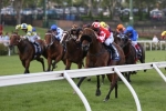 Sirbible A Live Chance In Australia Stakes Sirbible A Live Chance In Australia Stakes