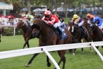 Sirbible Primed for Razor Sharp Handicap