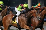 Manfred Stakes a Key Indicator for Fast Cash Manfred Stakes a Key Indicator for Fast Cash