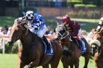Geegees Goldengirl draws perfect barrier in Hobart Cup