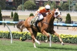 Burning Front to face hottest assignment in Stradbroke Handicap Burning Front to face hottest assignment in Stradbroke Handicap