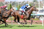 Holler chasing back to back G1 wins in William Reid Stakes