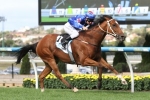 Runsati To Make Stakes Debut In WJ Adams Plate Runsati To Make Stakes Debut In WJ Adams Plate