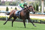 Rosehill Gardens Racing Preview – Saturday June 3rd