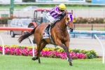 First Bloom Has A Go at Winter Cup Distance First Bloom Has A Go at Winter Cup Distance