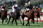 It Is Written Could Surprise At Big William Reid Stakes Odds