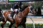 Australian Cup The Autumn Target For Australia Stakes Winner Mourinho Australian Cup The Autumn Target For Australia Stakes Winner Mourinho