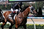 Australian Cup The Autumn Target For Australia Stakes Winner Mourinho