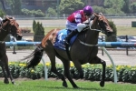 Maiden Stakes Win On Offer For Royal Snitzel In Kevin Hayes Stakes