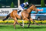 Sea Lord to head to the paddock after Australia Stakes Sea Lord to head to the paddock after Australia Stakes
