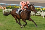 Zedi Knight To Have Third Tilt At The Australia Stakes