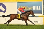 C.F. Orr Stakes next for Malaguerra after Australia Stakes win C.F. Orr Stakes next for Malaguerra after Australia Stakes win