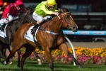 Magnifisio To Take Benefit From Irwin Stakes Run Magnifisio To Take Benefit From Irwin Stakes Run