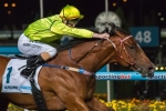 Platelet Set for Adelaide Group 1 Features