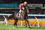 Five Group 1 Winners Included In 2014 BTC Cup Field