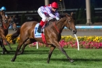 Caulfield Cup hopeful Text’n Hurley to run in Aurie’s Star Handicap