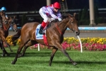 Caulfield Cup hopeful Text’n Hurley to run in Aurie’s Star Handicap Caulfield Cup hopeful Text’n Hurley to run in Aurie’s Star Handicap