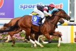 Ysmael an outsider in the Winterbottom Stakes field