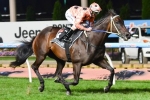 Full House for Black Caviar at Randwick