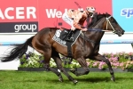 Oscietra on the verge of reliving Black Caviar Memory Oscietra on the verge of reliving Black Caviar Memory