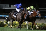 Flamberge has best G1 form heading into T J Smith Stakes Flamberge has best G1 form heading into T J Smith Stakes