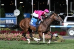 Oliver chooses Miss Rose De Lago in P.B. Lawrence Stakes