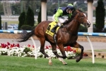 2017 Thoroughbred Club Cup Day Preview & Tips 2017 Thoroughbred Club Cup Day Preview & Tips