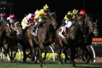 Lucky Hussler Set For The Goodwood Lucky Hussler Set For The Goodwood