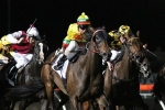 2015 Toorak Handicap Tips: Lucky Hussler Primed 2015 Toorak Handicap Tips: Lucky Hussler Primed