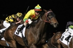 2015 William Reid Stakes Results: Boss Steers Lucky Hussler To Victory 2015 William Reid Stakes Results: Boss Steers Lucky Hussler To Victory