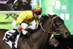 Lucky Hussler chasing back to back William Reid Stakes wins