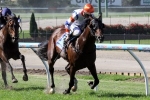 Le Roi Drops In Class For Port Adelaide Cup