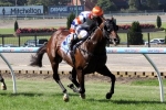 Le Roi Deserves Place In Queen Elizabeth Stakes Field Le Roi Deserves Place In Queen Elizabeth Stakes Field