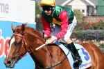 Schweppes Oaks winner May’s Dream recovering from knee surgery Schweppes Oaks winner May’s Dream recovering from knee surgery