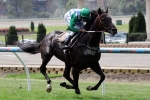 Weir Chasing Another Bendigo Cup Win With Signoff Weir Chasing Another Bendigo Cup Win With Signoff