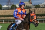 Quezette Stakes An Option For Jalan Jalan Quezette Stakes An Option For Jalan Jalan