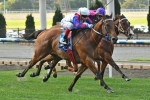 Ability Firms in All Victorian Sprint Final Betting