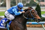 Vain Queen well supported in All Victorian Sprint