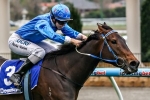 Vain Queen to back up at Moonee Valley