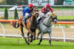 Hasan Hoping For Soft Flemington Track For Voila Ici
