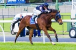 Mr O’Ceirin No Certainty To Contest Grafton Cup Mr O’Ceirin No Certainty To Contest Grafton Cup
