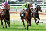 Pillar Of Creation In Career Best Form Ahead Of Sheen Group Handicap Pillar Of Creation In Career Best Form Ahead Of Sheen Group Handicap