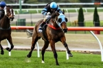 The Cleaner A Happy Horse Ahead Of Don’t Hold Back Handicap The Cleaner A Happy Horse Ahead Of Don’t Hold Back Handicap