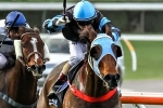 Elite Belle can give Pike first Railway Stakes win Elite Belle can give Pike first Railway Stakes win